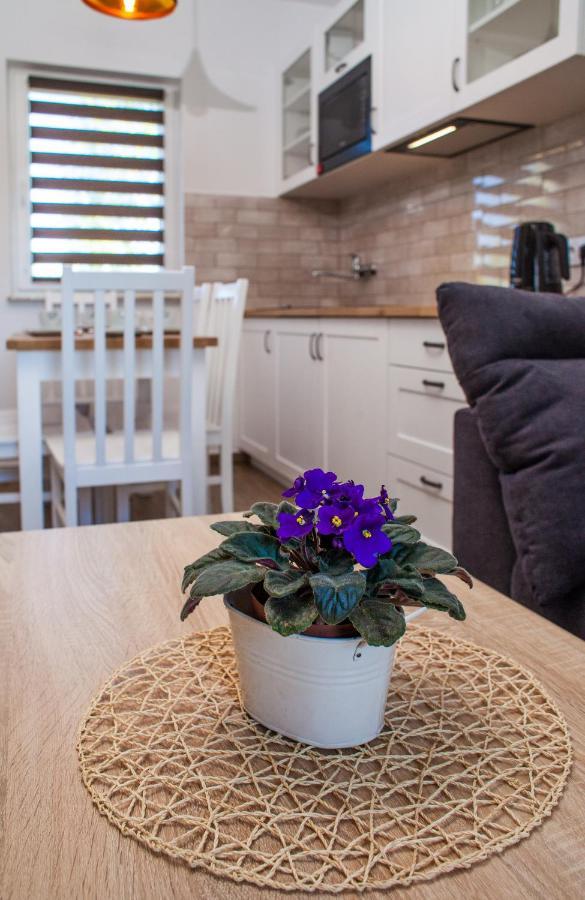Domki Nordic Wladyslawowo Ngoại thất bức ảnh